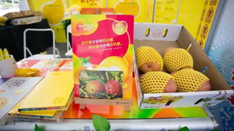 海南旅游美食與商品展銷會(huì)即將開幕 一起回顧往屆精彩瞬間